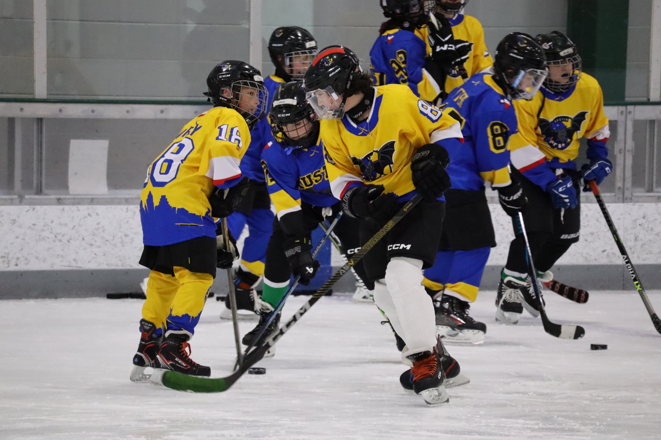 Youth hockey players battling for the puck